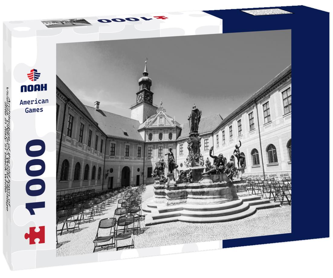 Noah Jigsaw Puzzle Architecture of the old town of Vicenza. UNESCO World Heritage Site in Italy in black white 1000 pieces