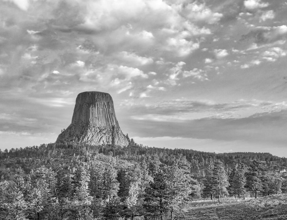 Noah Jigsaw Puzzle Kagoshima, Japan skyline with Sakurajima Volcano at dusk in black white 1000 pieces