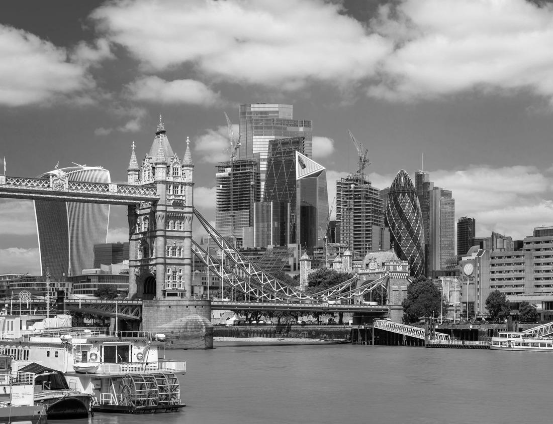 Noah Jigsaw Puzzle Beautiful panoramic view of the historic center of Nuremberg, Germany in spring in black white 1000 pieces