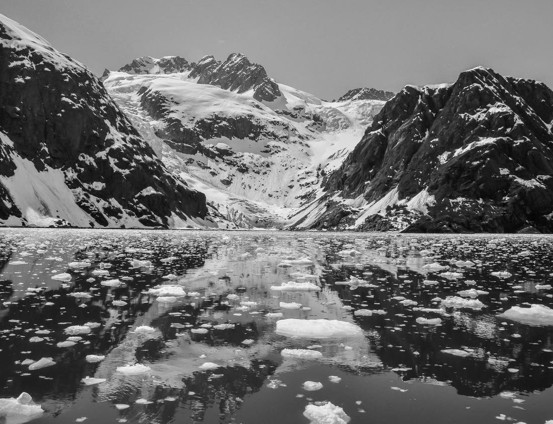 Noah Jigsaw Puzzle Delicate Arch National park Utah in black white 1000 pieces