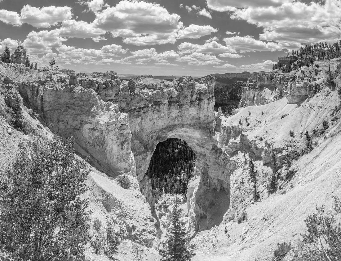Noah Jigsaw Puzzle Asian woman wearing japanese traditional kimono looking at cherry blossoms and castle in Osaka, Japan in black white 1000 pieces
