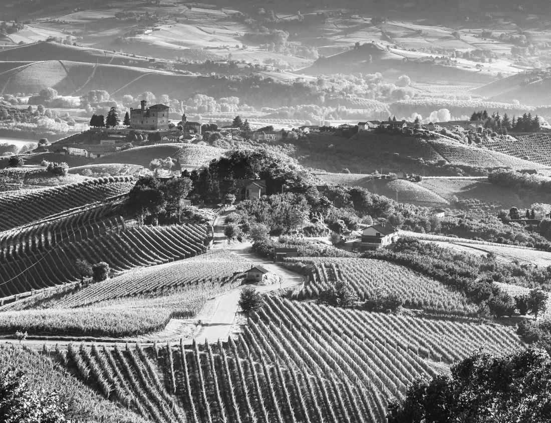 Noah Jigsaw Puzzle Downtown Lincoln, Nebraska from the capitol building in black white 1000 pieces