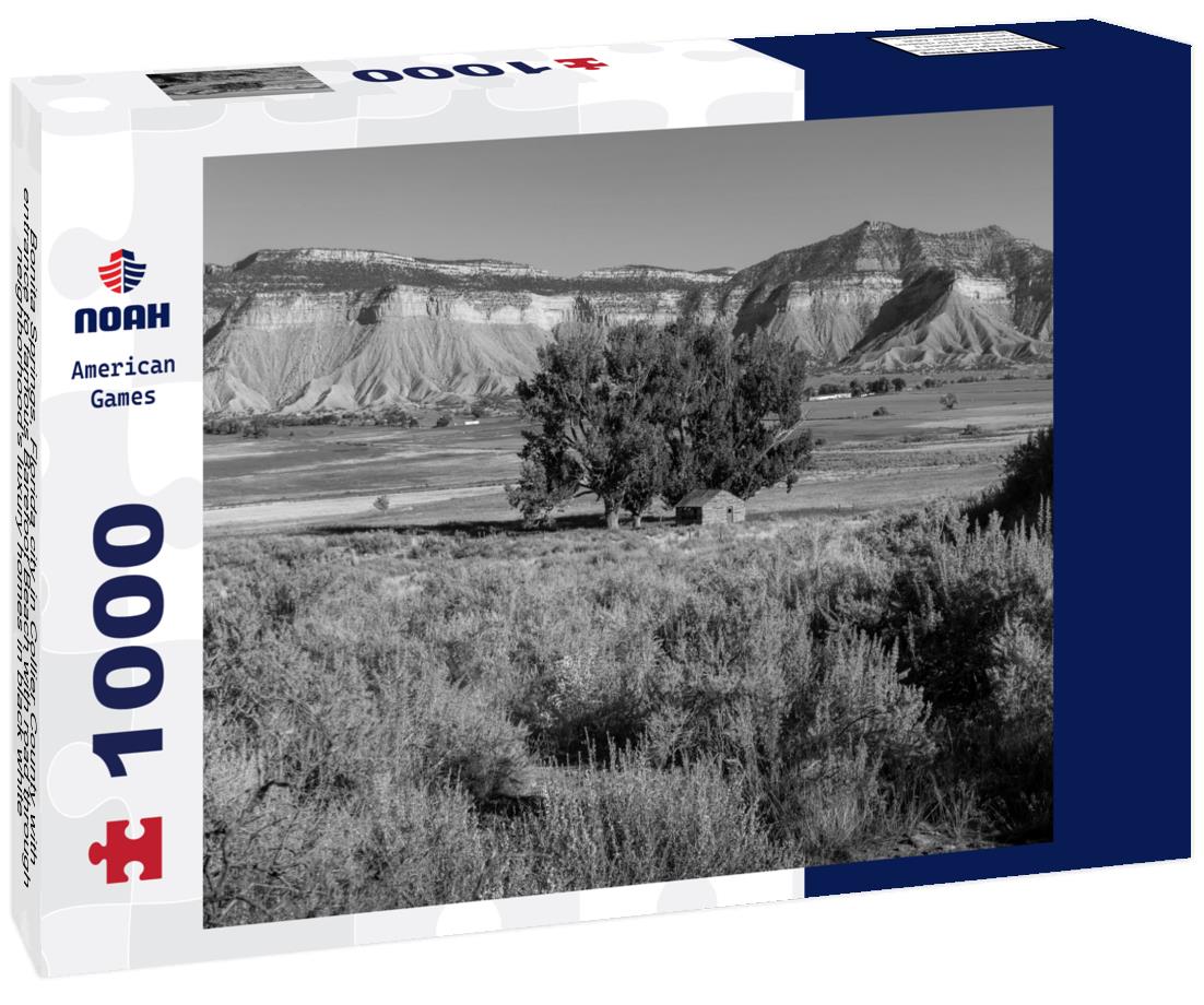 Noah Jigsaw Puzzle Bonita Springs, Florida city in Collier County with entrance to famous Barefoot Beach with road through neighborhood's luxury homes in black white 1000 pieces