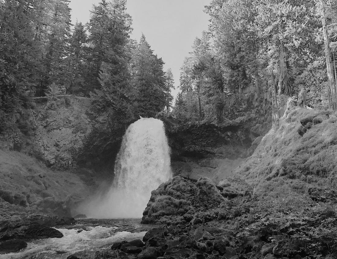 Noah Jigsaw Puzzle Aerial view of Nashville Capitol and skyline on a sunny day. Nashville is the capital and most populous city of Tennessee, and a major center for the music industry in black white 1000 pieces