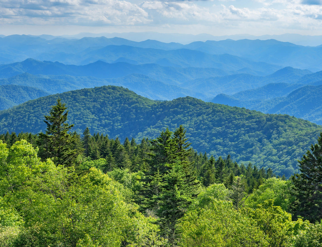 Noah Jigsaw Puzzle Blue Ridge Parkway summer Landscape. Beautiful summer mountain panorama. Green mountains and layers of hills. Near Asheville, North Carolina. Blue Ridge Parkway 1000 pieces