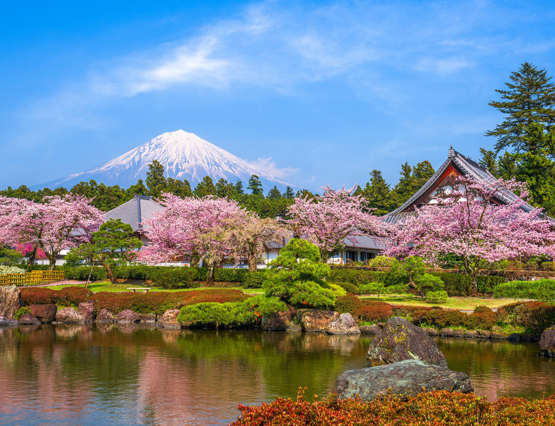 Noah Jigsaw Puzzle Fujinomiya, Shizuoka, Japan with Mt. Fuji in spring 1000 pieces
