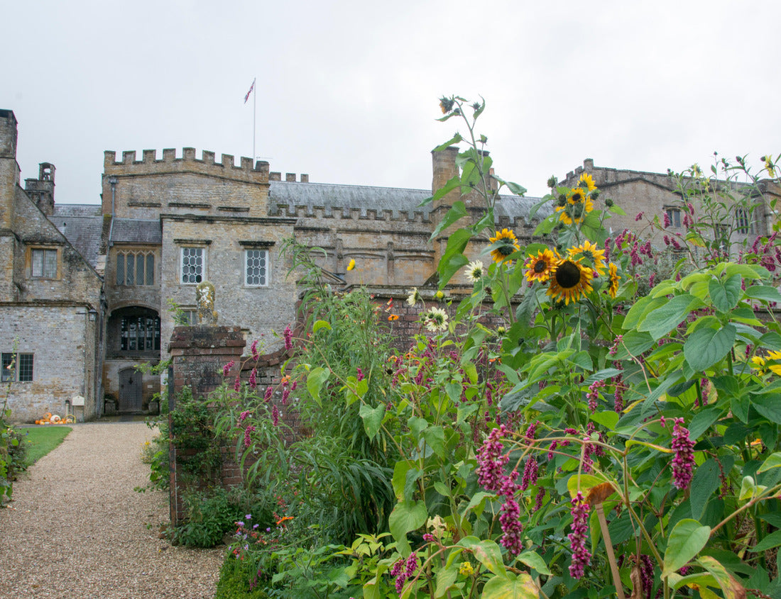 Noah Jigsaw Puzzle Forde Abbey, in Dorset, England 1000 pieces