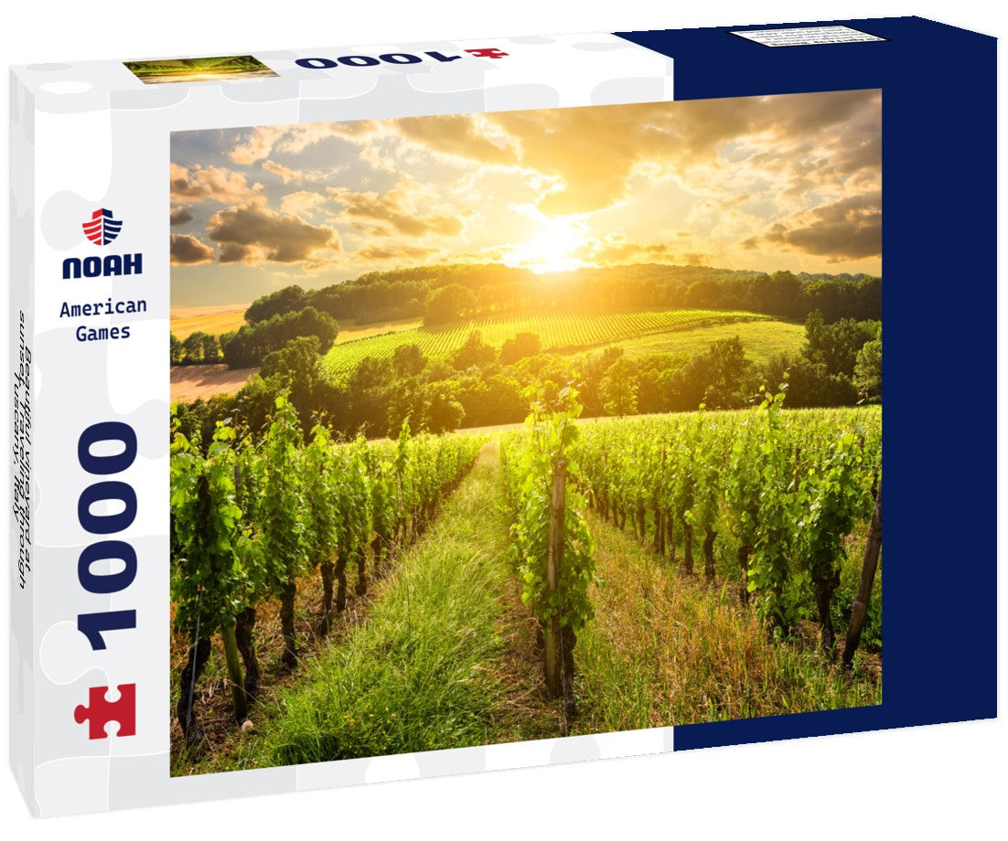 Noah Jigsaw Puzzle Beautiful vineyard at sunset. Traveling through Tuscany, Italy 1000 pieces