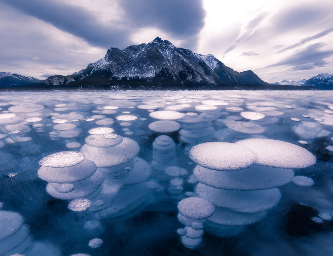 Noah Jigsaw Puzzle Ice formation bubbles at Abraham Lake 1000 pieces