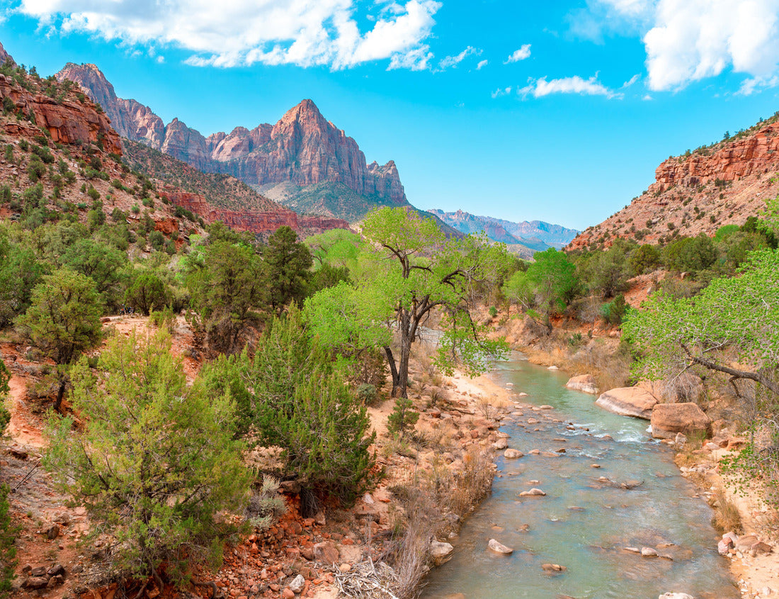 Noah Jigsaw Puzzle Beautiful landscape of red rocks in Zion National Park, Utah, USA 1000 pieces