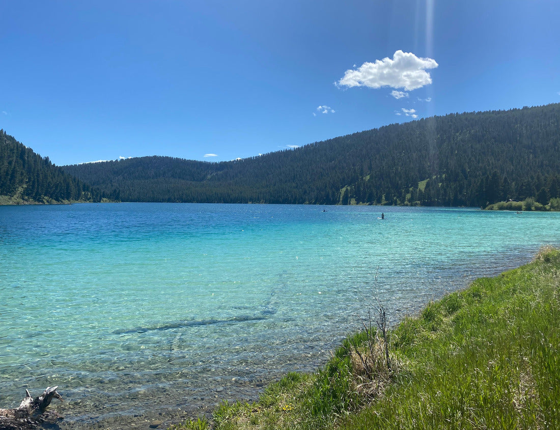 Noah Jigsaw Puzzle Cliff Lake in Madison County Montana 1000 pieces