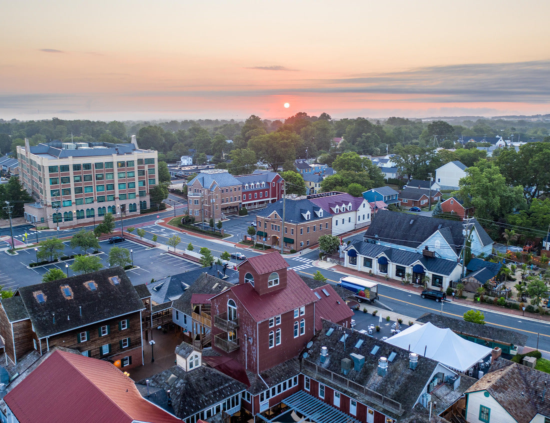 Noah Jigsaw Puzzle Market Station in Leesburg, Virginia 1000 pieces
