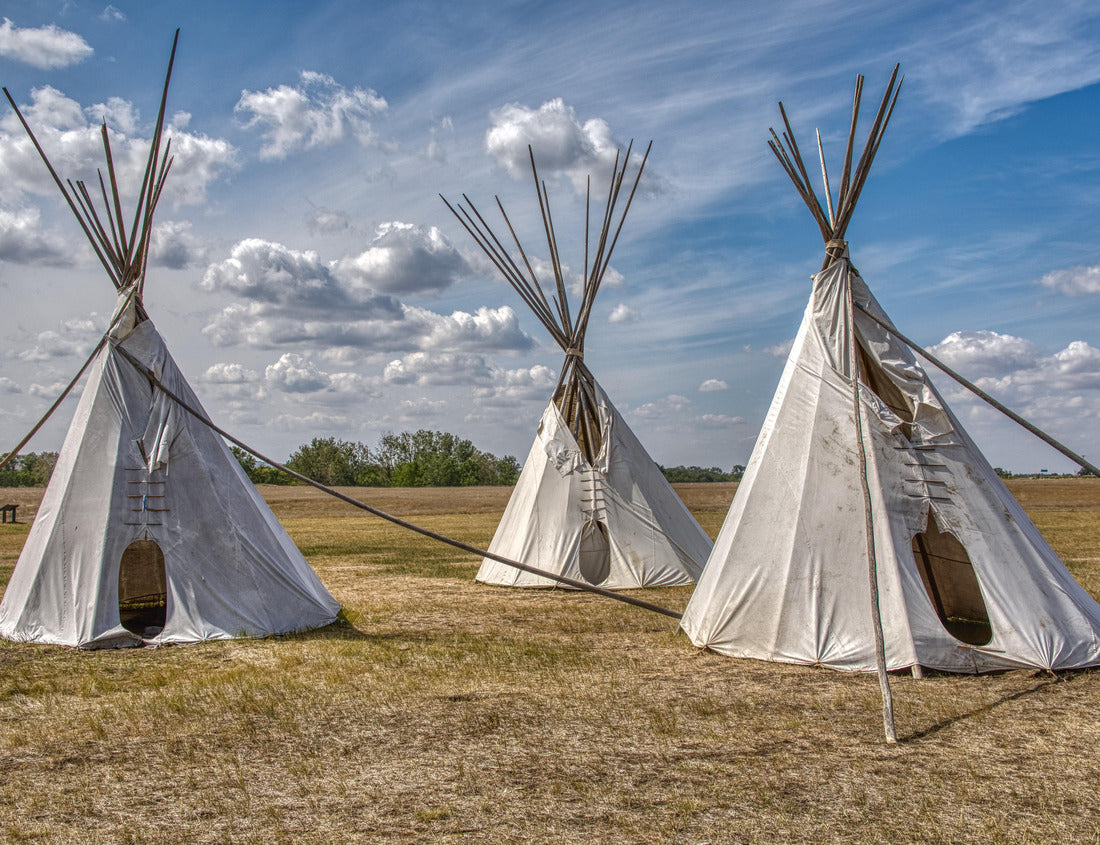 Noah Jigsaw Puzzle Fort Union Trading Post National Historic Site 1000 pieces
