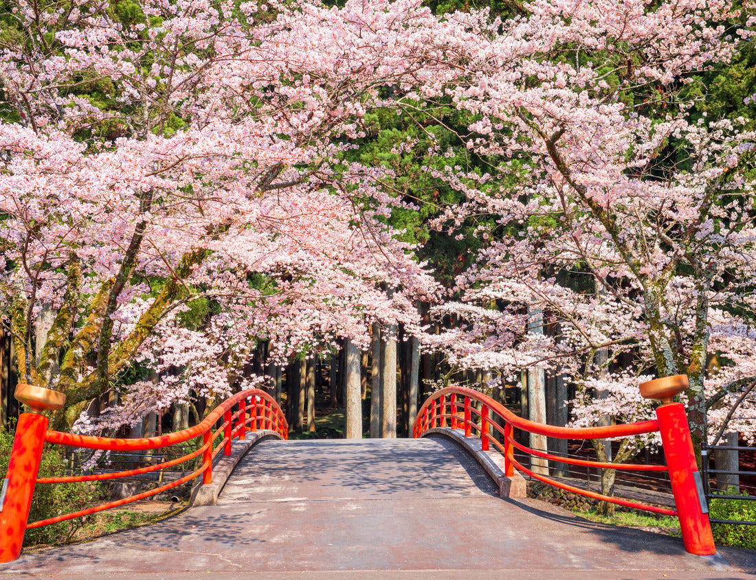 Noah Jigsaw Puzzle Kamijo, Shizuoka, Japan rural scene with cherry blossoms and a traditional bridge 1000 pieces