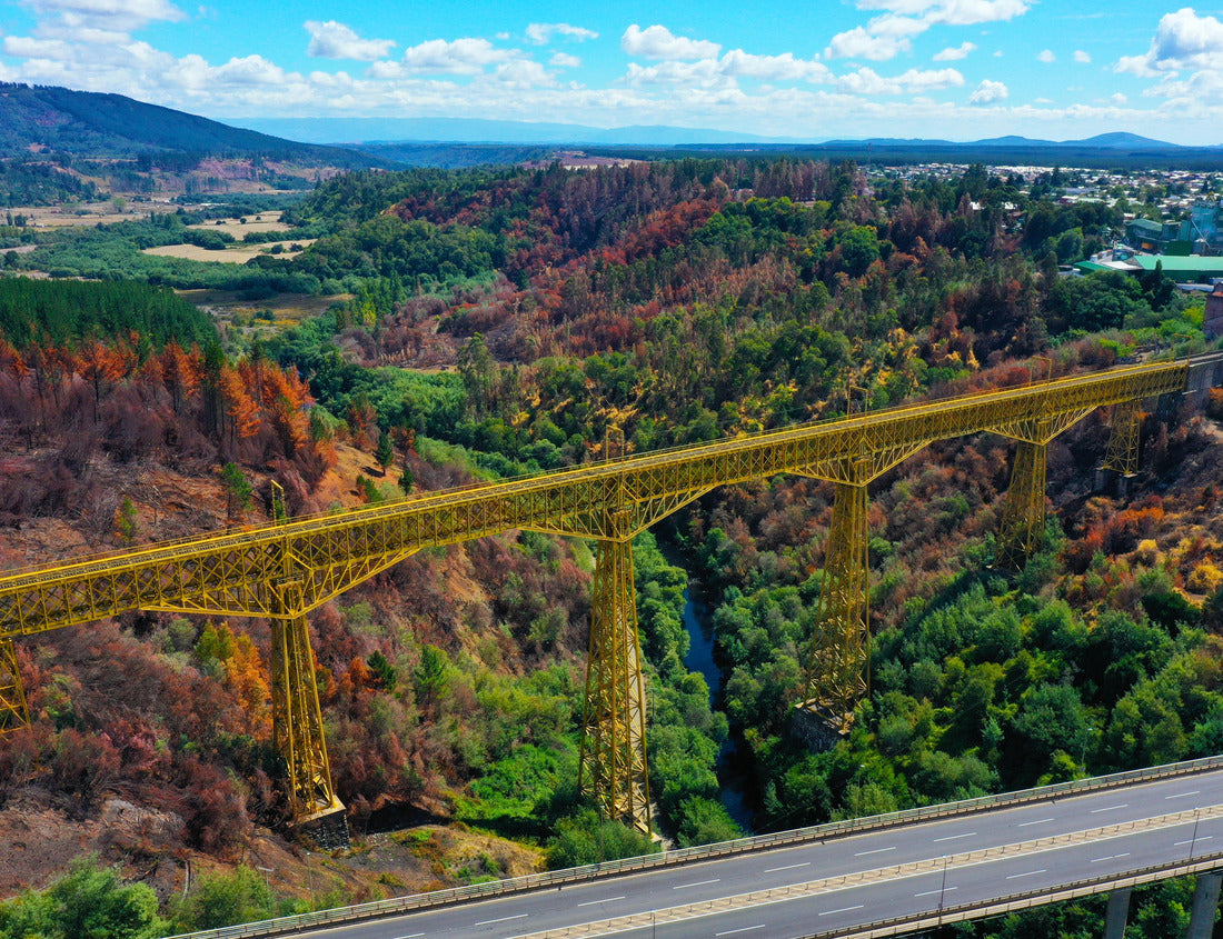 Noah Jigsaw Puzzle Malleco Viaduct in Chile 1000 pieces