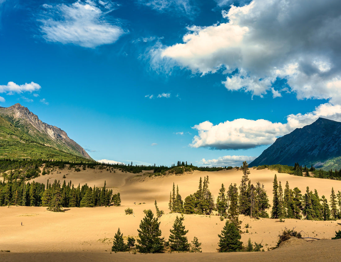 Noah Jigsaw Puzzle Carcross Desert in Carcross, Yukon, Canada, is considered one of the smallest deserts in the world 1000 pieces