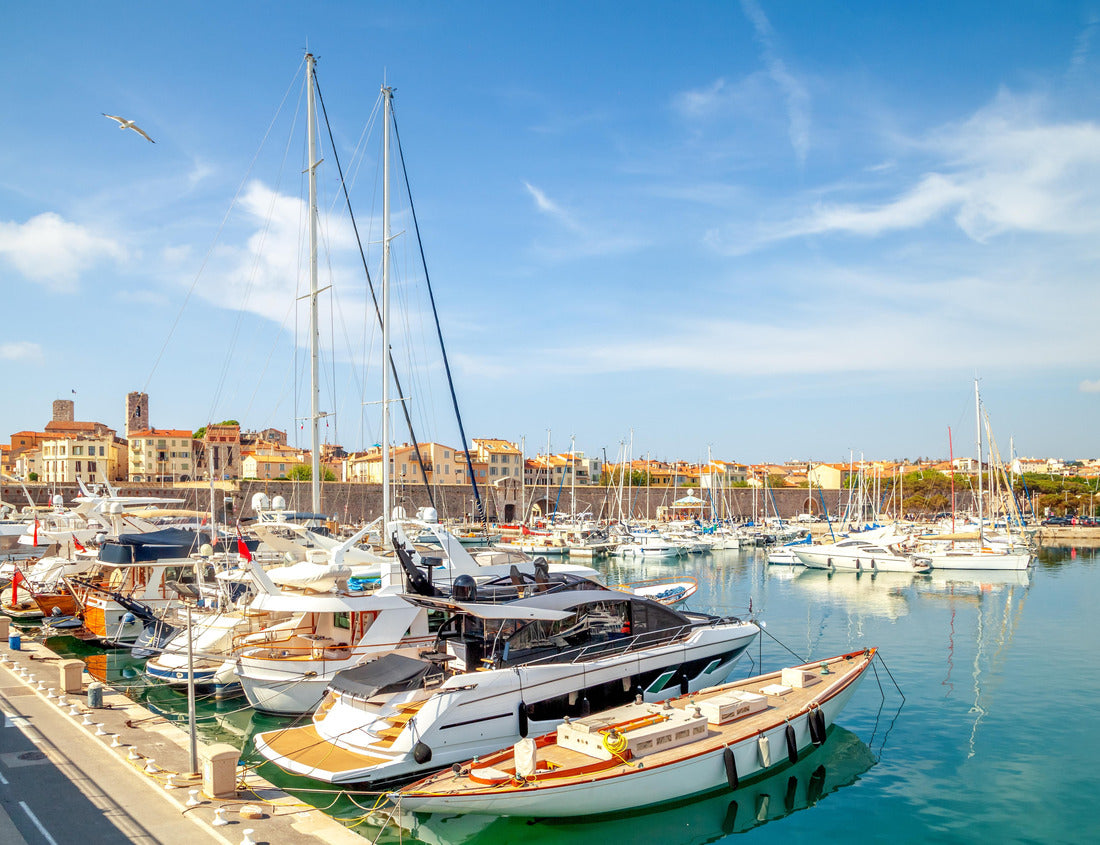 Noah Jigsaw Puzzle Marina Antibes, Côte d'Azur, France 1000 pieces