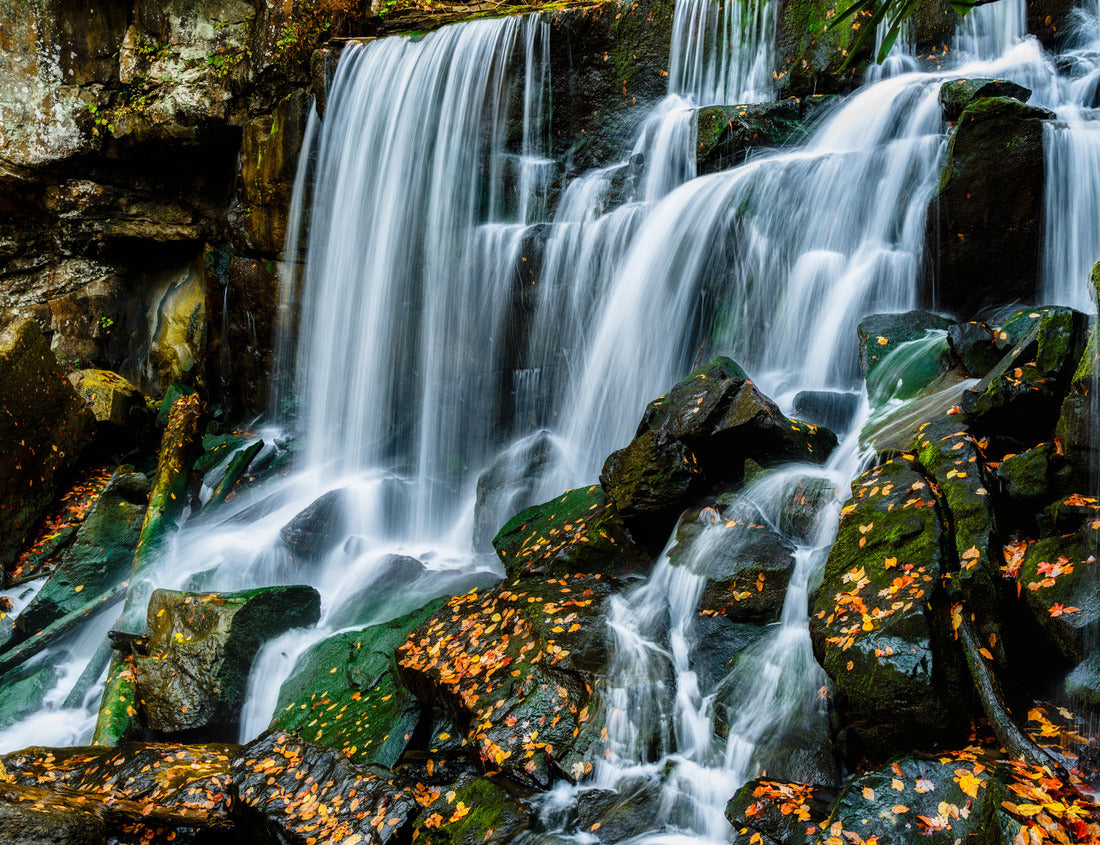 Noah Jigsaw Puzzle Autumn day at Wolf Creek Falls, New River Gorge National Park and Preserve in Fayette County, West Virginia, USA 1000 pieces