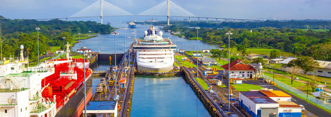 Noah Jigsaw Puzzle A beautiful tranquil river landscape with green palm trees reflected in the water on a sunny summer day in the tropical jungle garden near Portobelo, Panama Panorama 1000 Pieces