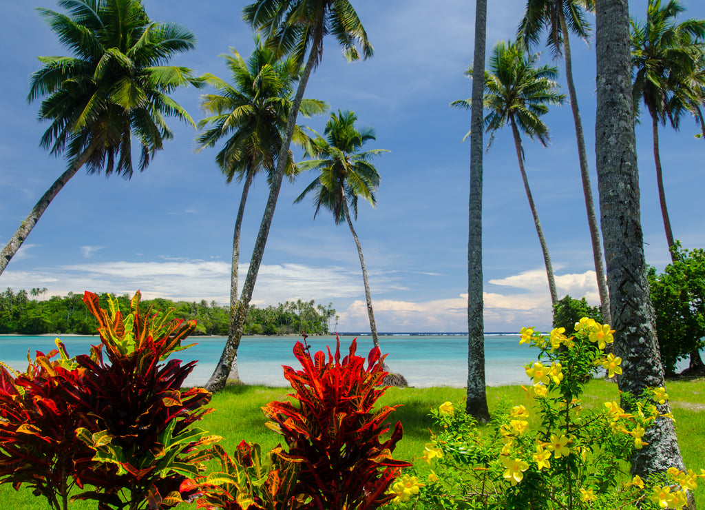 Breathtaking view of a beach in the Puapua, Savaii, Samoa