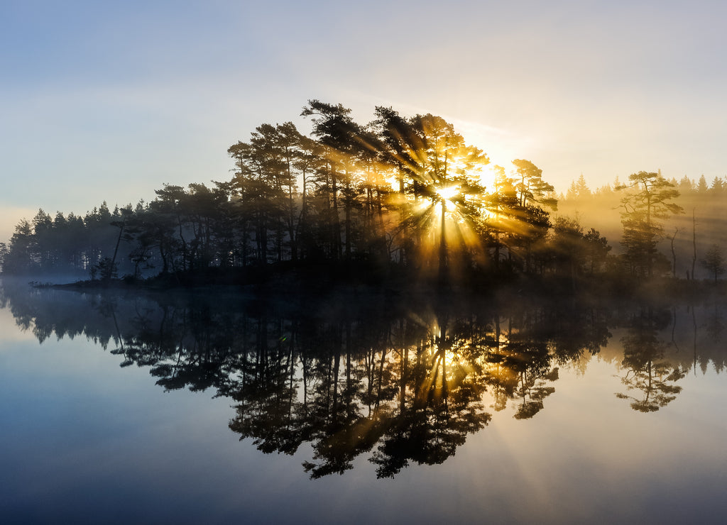 Silhouette of trees and lake at sunrise, Svartedalen, Sweden