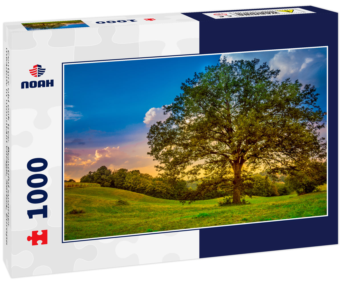 Century old oak tree. Beautiful summer meadow in mountain village, Serbia, Europe
