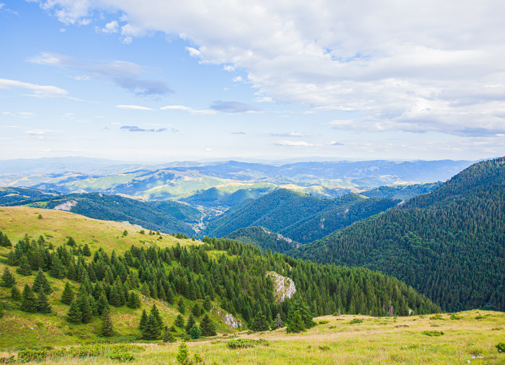 Picturesque nature panoramic view of mountain landscape , summer day. Beautiful sky. Kopaonik mountain. Serbia.