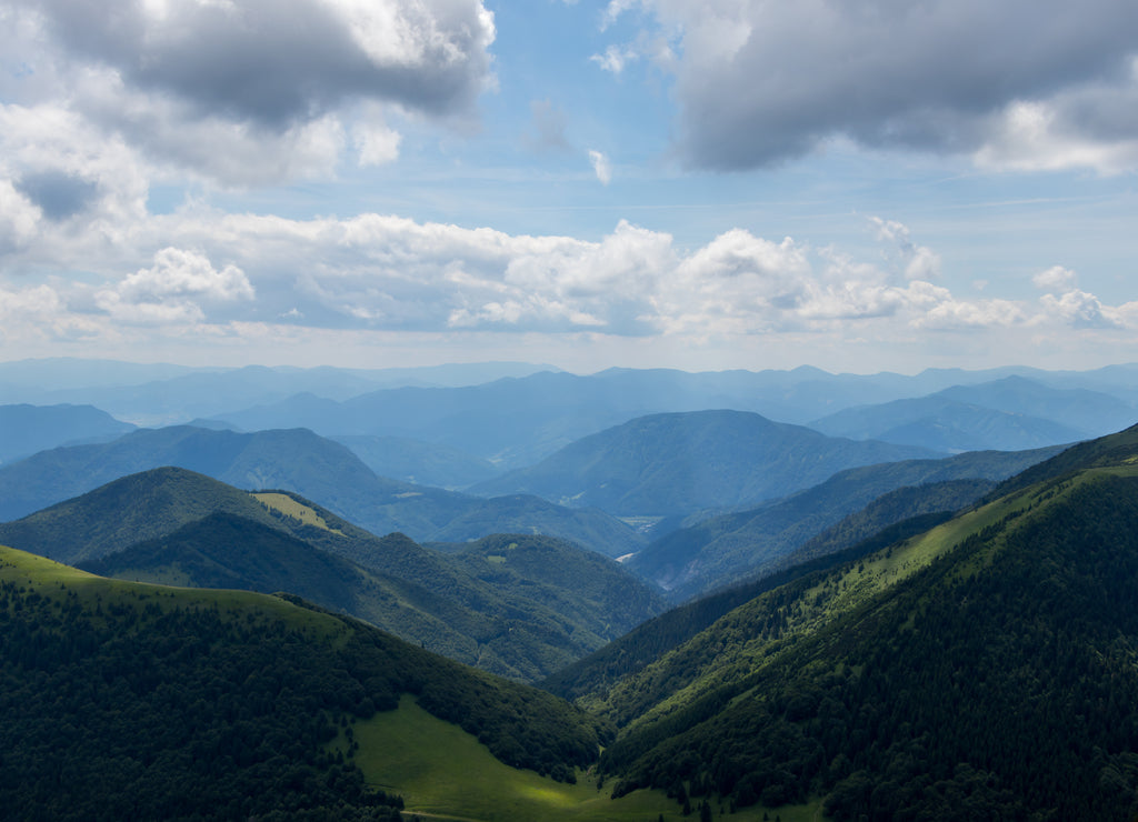 Mountain view with Pine forest, Slovakia