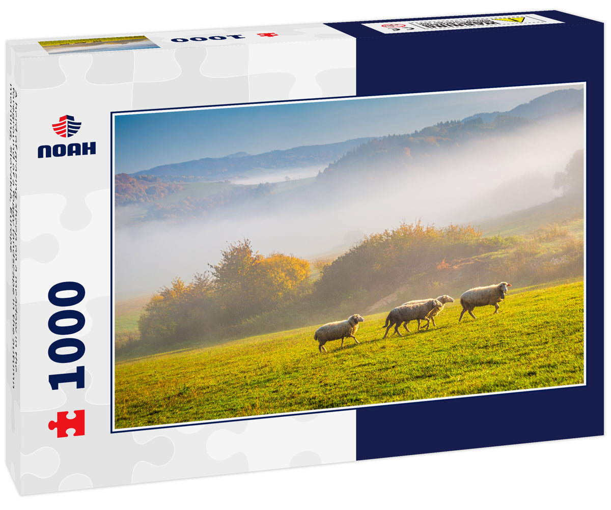 A herd of grazing sheep on a meadow in the foreground of a foggy landscape in the autumn morning, Slovakia, Europe