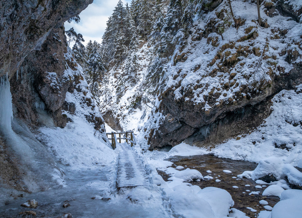 Snowy winter landscape with a wooden bridge on tourist trail through a narrow gorge with wild stream. The Mala Fatra national park in Slovakia