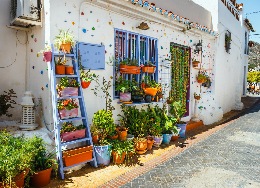 decorated facade of house with flowers in blue pots in Mijas, Spain