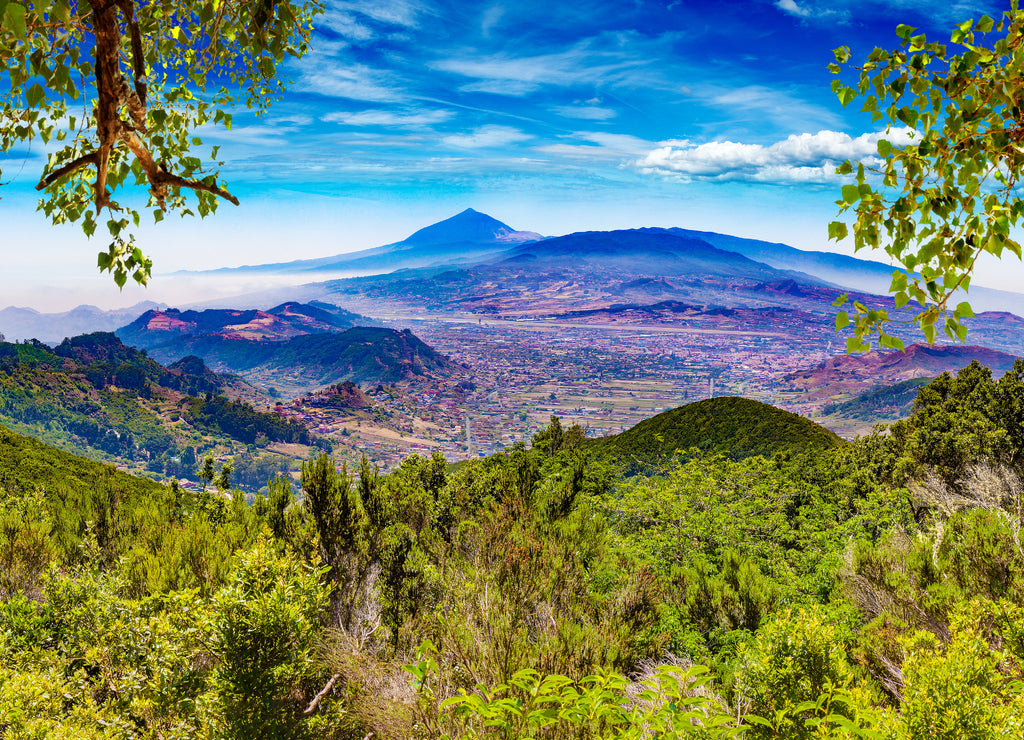Masca valley.Canary island.Tenerife.Spain.Scenic mountain landscape.Cactus,vegetation and sunset panorama in Tenerife