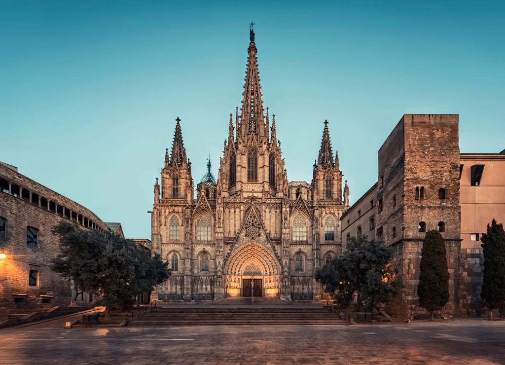 Barcelona Cathedral in the evening, Spain