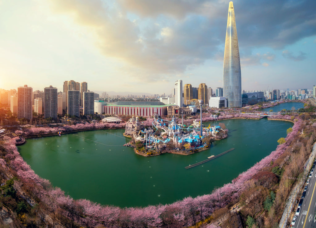 Spring season in seoul city with cherry blossom full blooming in the park