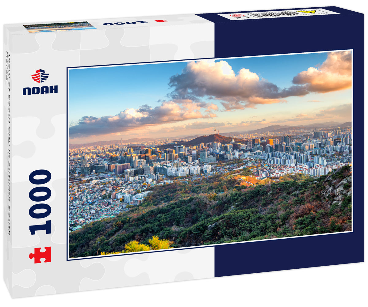 View of Seoul City in autumn South Korea