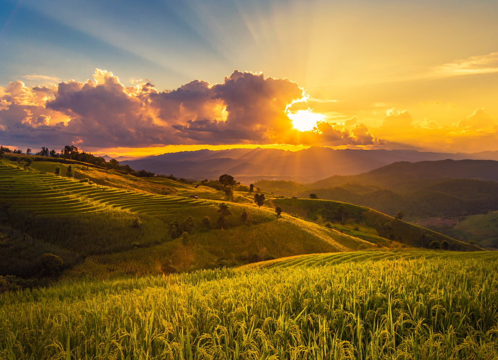 sunset landscape view at green terraced rice field in Pa Pong Piang , Mae Chaem, Chiang Mai