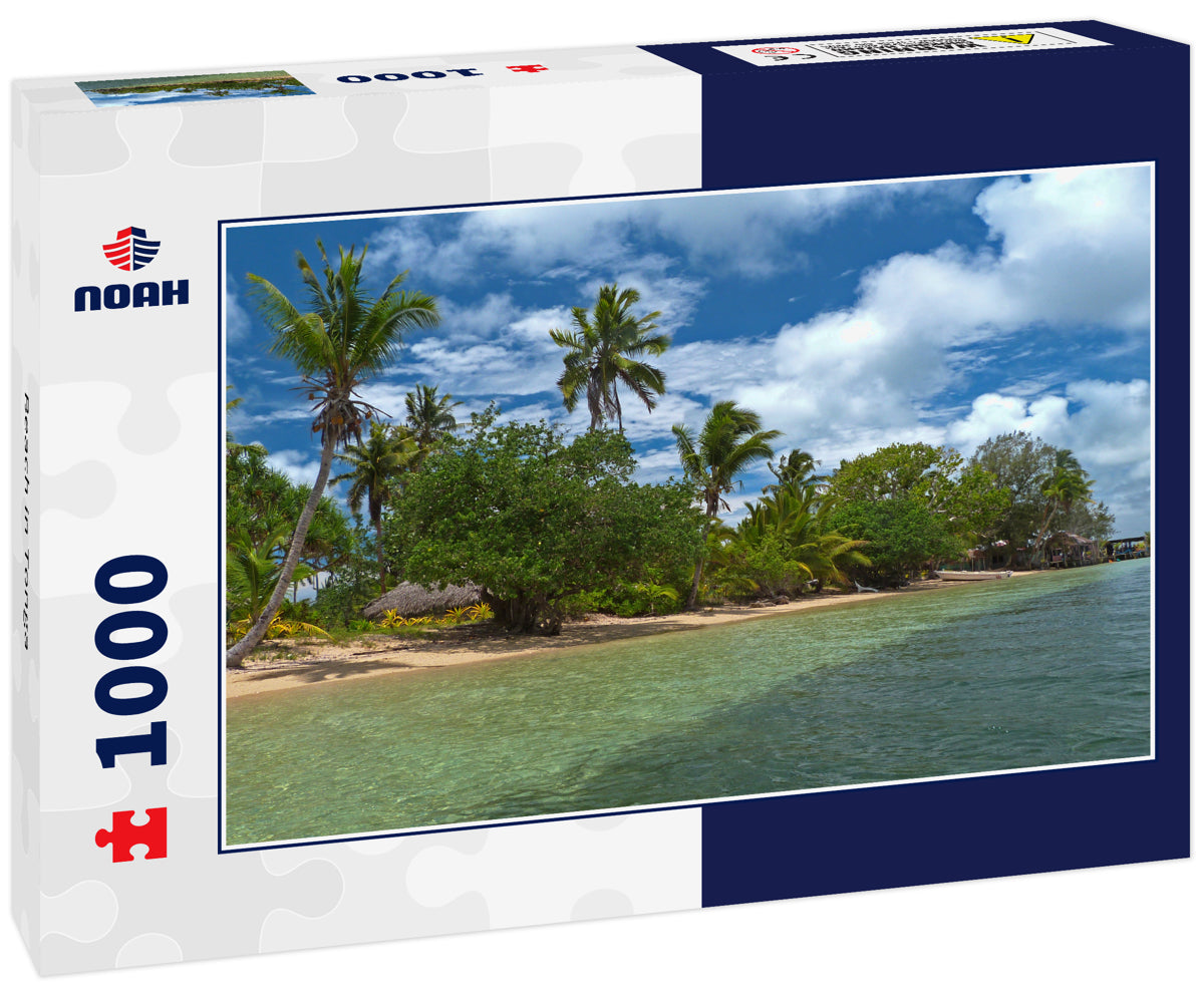 Beach in Tonga