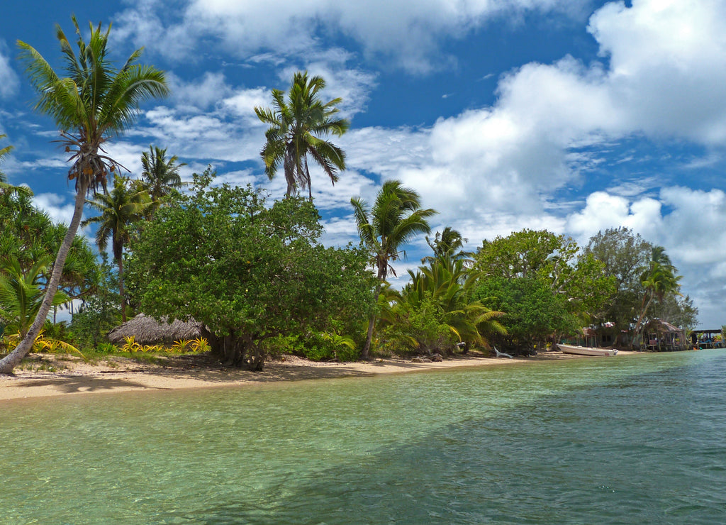 Beach in Tonga