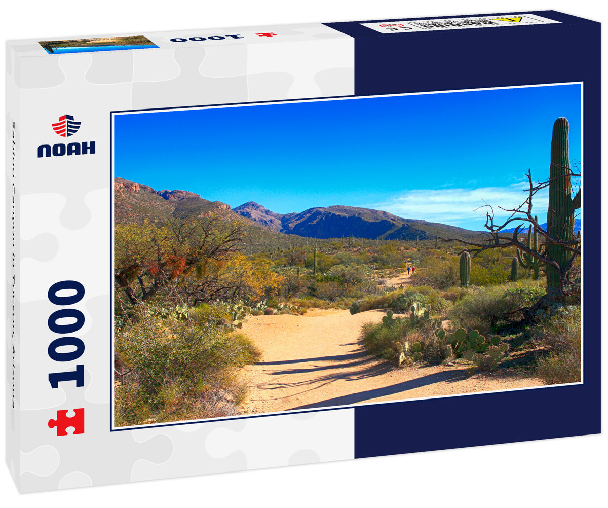 Sabino Canyon in Tucson, Arizona