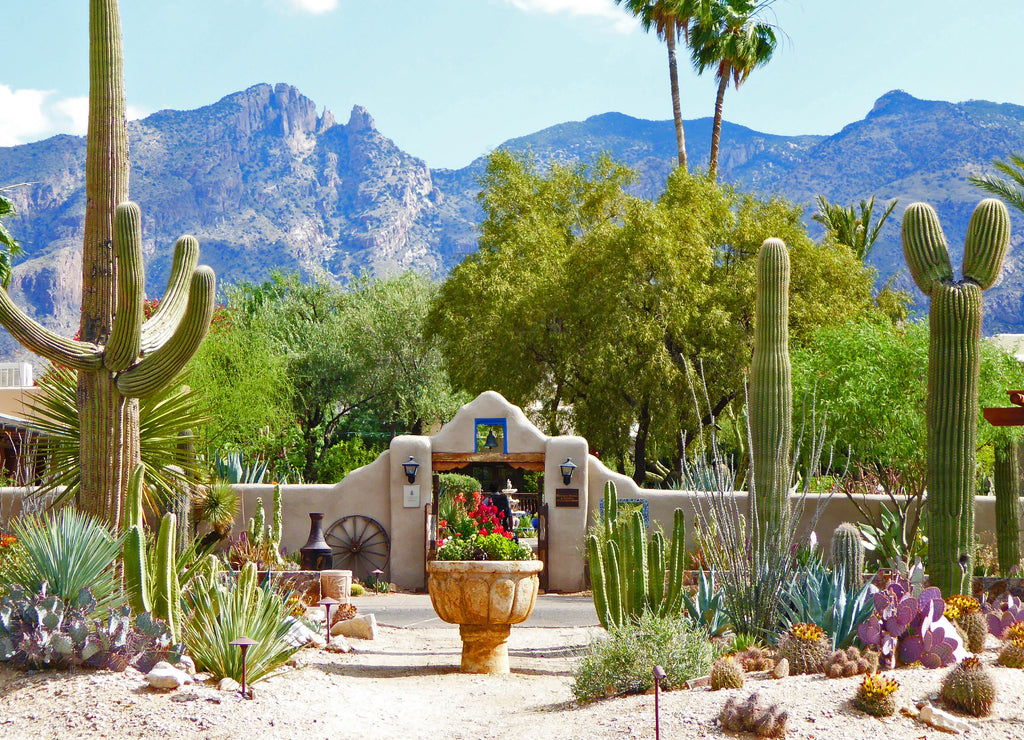 Tucson Arizona
