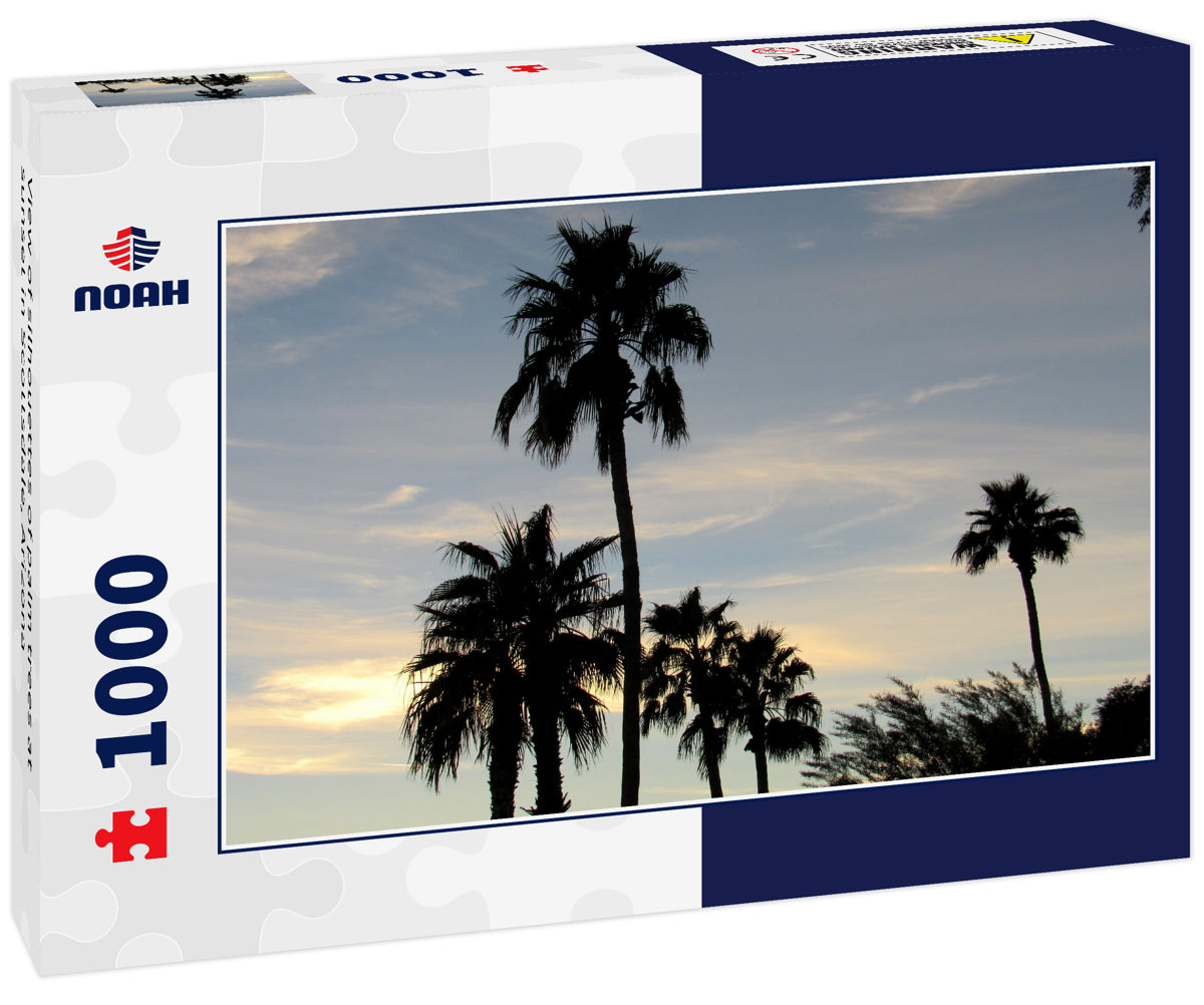 View of silhouettes of palm trees at sunset in Scottsdale, Arizona