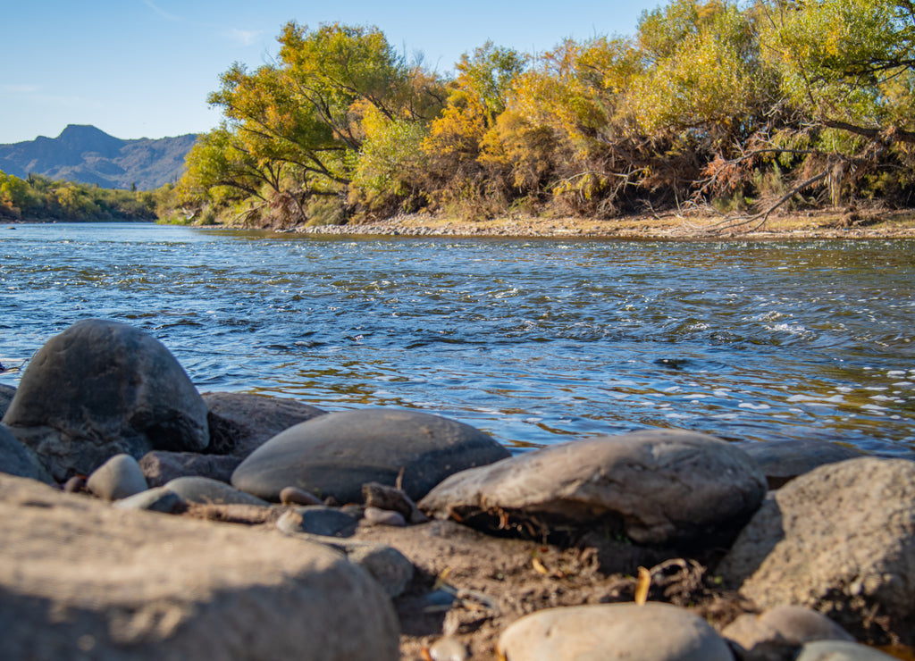 fall colors on the salt river near mesa Arizona