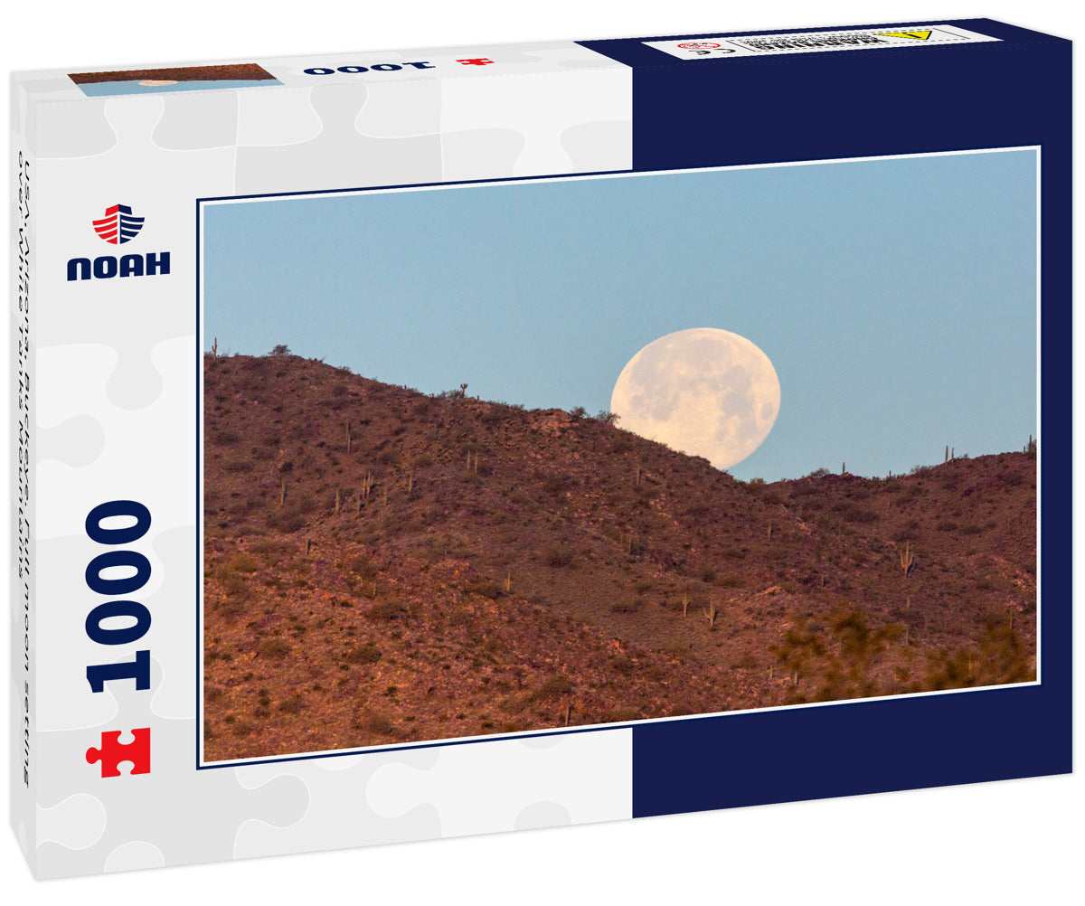 USA, Arizona, Buckeye. Full moon setting over White Tanks Mountains