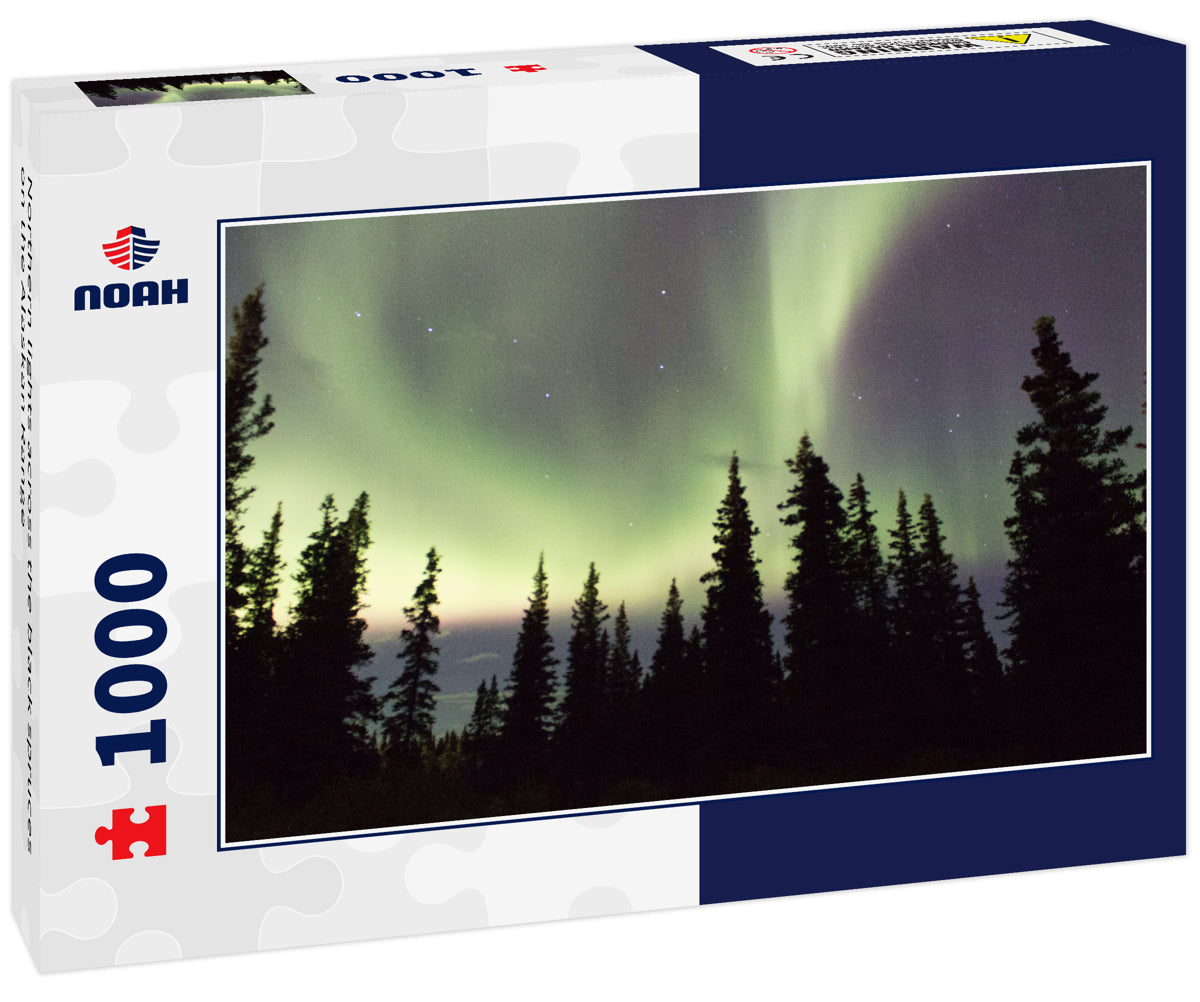 Northern lights across the black spruces on the Alaskan Range