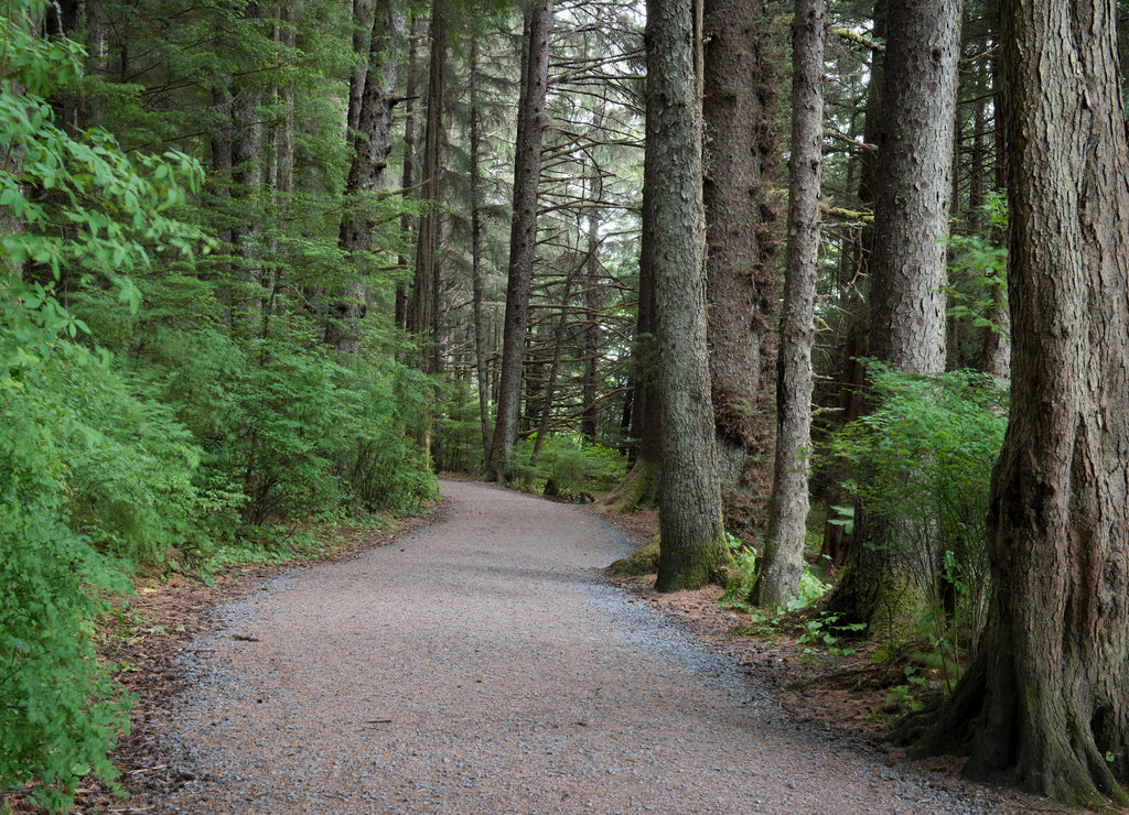 Walking Trail, Sitka, Alaska