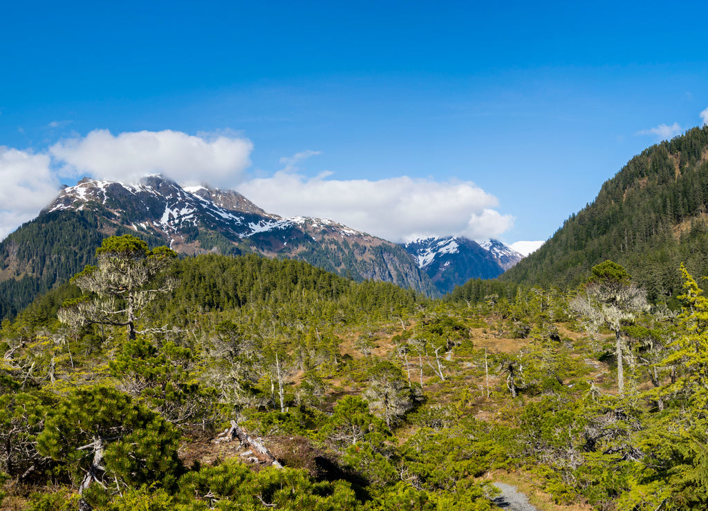Spring in Sitka, Alaska