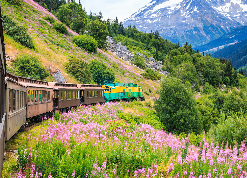 Skagway, Alaska. The scenic White Pass & Yukon Route Railroad.