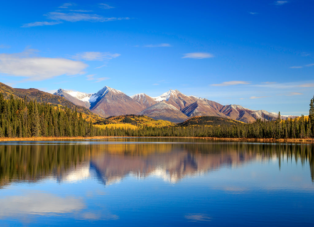 Fall reflection in Wrangell-St.Elias National Park, Alaska