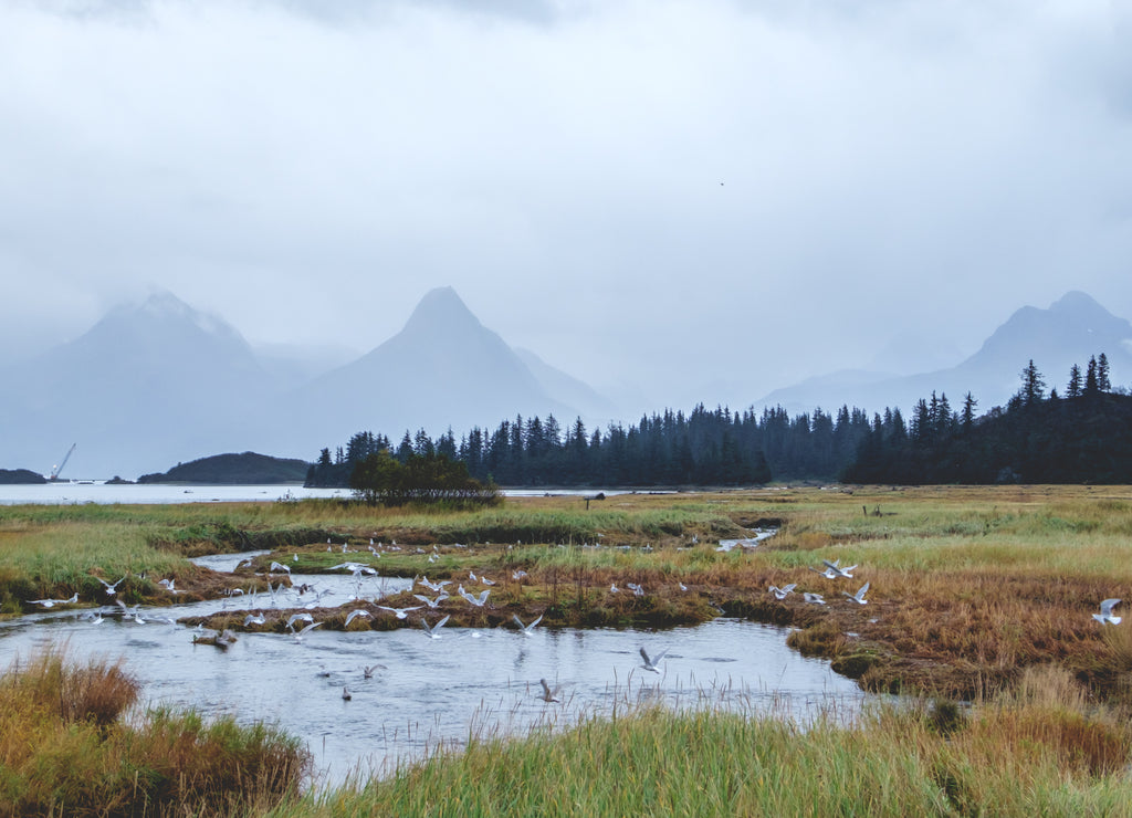 View of bay in Valdez, Alaska