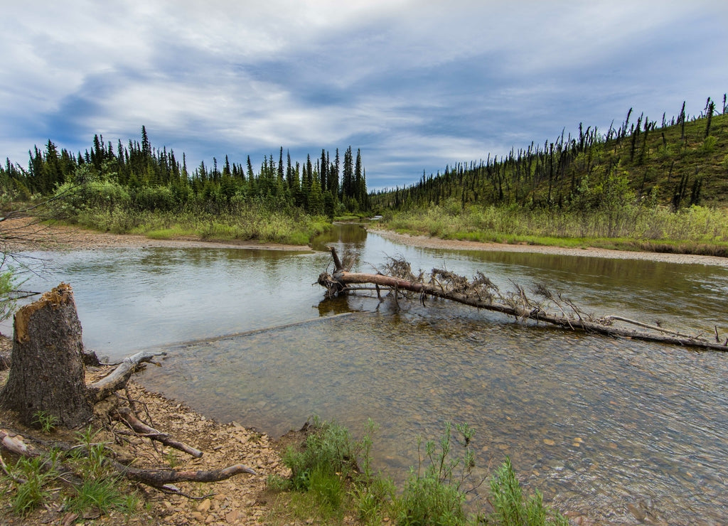 Nome Creek Alaska
